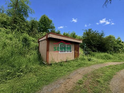foto02_11471337_mv4vc.jpg