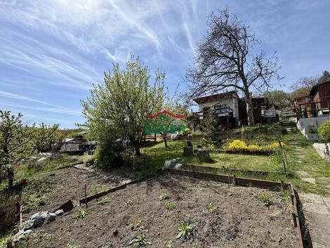 foto02_11487558_1l04p4.jpg