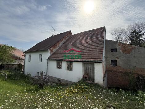 foto02_11490666_3kar0.jpg