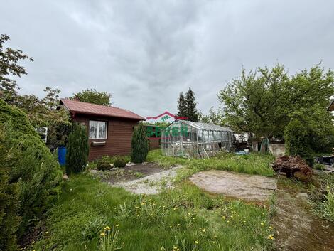 foto02_11492315_1gffzs.jpg