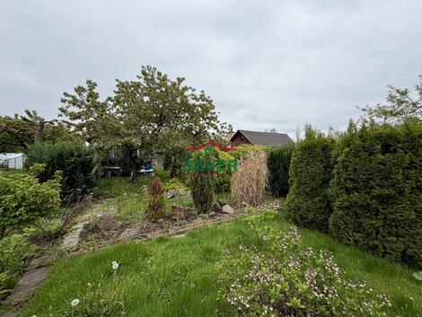 foto02_11492315_sv2y0.jpg