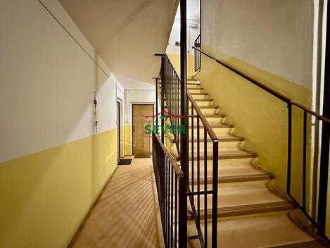foto02_11504658_1fvqi4.jpg