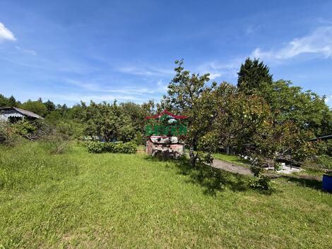foto02_11507532_ijo9k.jpg