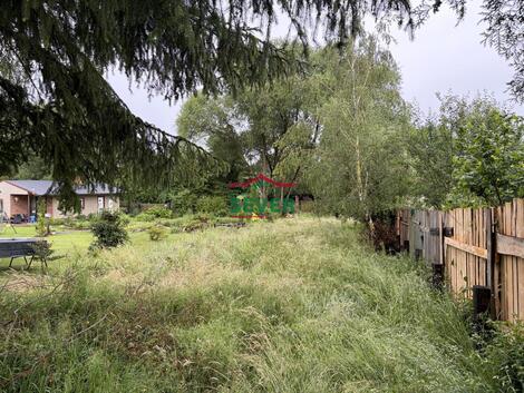 foto02_11510227_165dp0.jpg