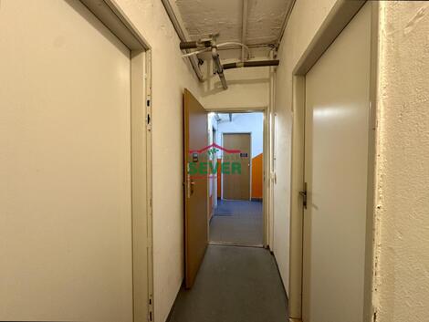 foto02_11558221_ve7nk.jpg