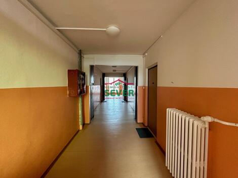 foto02_11566929_zf8vg.jpg