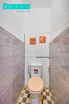 foto02_11330547_st6t8.jpg