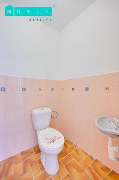 foto02_11372452_1eszio.jpg