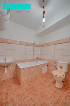 foto02_11486621_3kad4.jpg