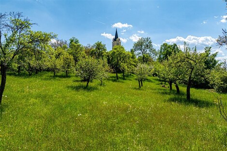 foto04_11321335_xaop8.jpg