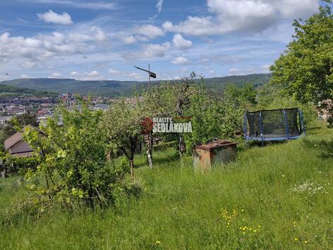 foto02_11324649_zxzn4.jpg