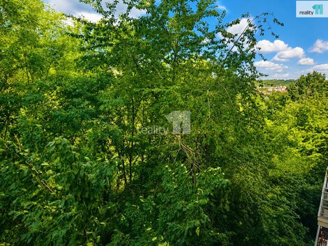 foto09_11519415_66912.jpg