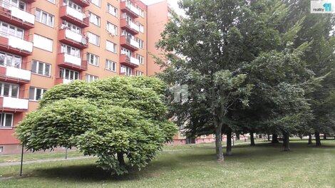 foto09_11531368_80092.jpg