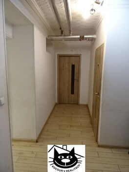 foto13_11494092_47335.jpg
