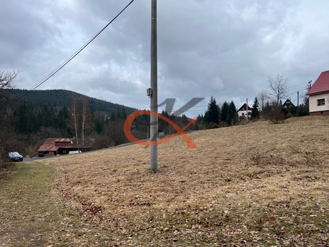 foto16_11483114_76789.jpg