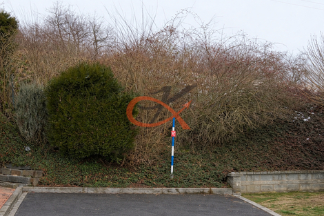 foto16_11497406_37249.jpg