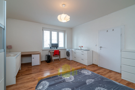foto16_11538072_17865.jpg