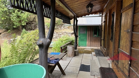 foto16_11530139_16772.jpg
