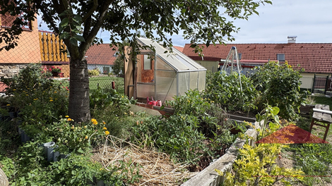 foto16_11552752_52608.jpg