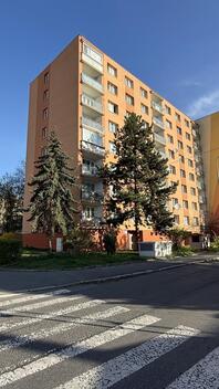 foto02_11485239_vnkds.jpg
