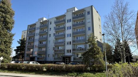 foto02_11487559_1gzt0o.jpg