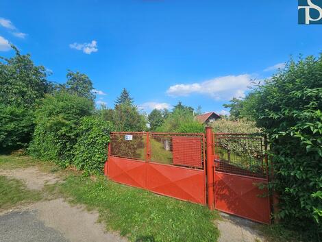 foto02_11515244_1bh7mw.jpg