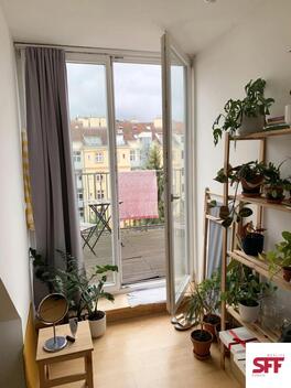 foto02_11365414_xqxi0.jpg