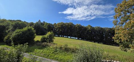 foto02_11380276_g4xys.jpg