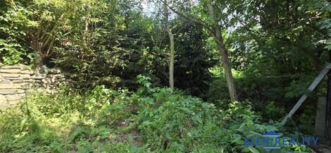 foto02_11516509_15w0qg.jpg