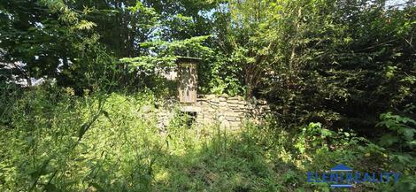 foto02_11516509_jr5xg.jpg