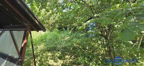 foto02_11516509_pj5qk.jpg