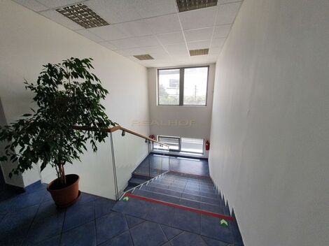 foto02_11276179_qcpe8.jpg