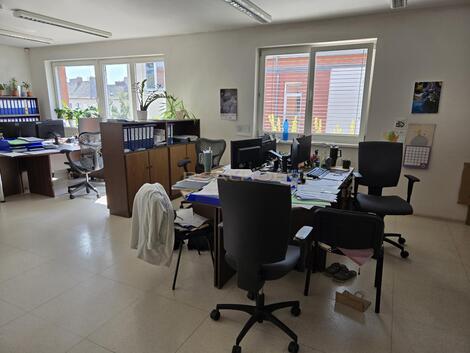 foto02_11379661_9n8jg.jpg
