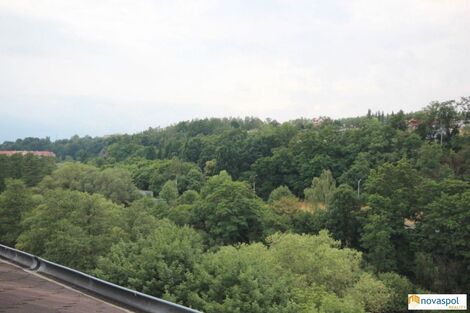 foto02_11562509_yk31c.jpg