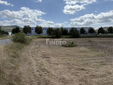 foto02_11466575_gbxcs.jpg