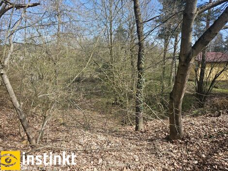 foto02_11442580_7kv5c.jpg
