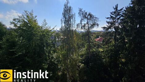 foto02_11482728_jwnjc.jpg