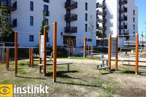 foto02_11495463_xkisg.jpg