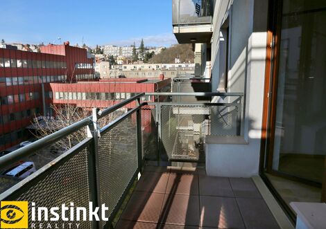 foto02_11496474_162qxw.jpg
