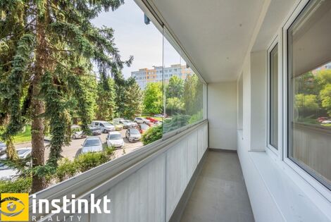 foto02_11499986_1dyxf4.jpg