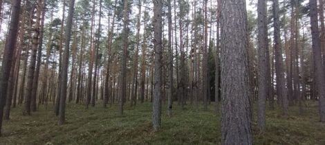 foto02_11478811_iucog.jpg