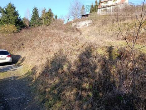 foto02_11540930_9vvt0.jpg