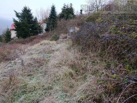 foto02_11540930_pgjak.jpg