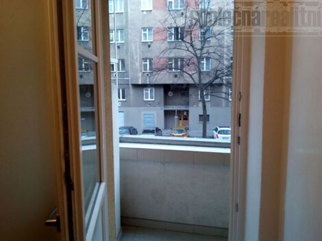 foto02_11555345_r9vlw.jpg