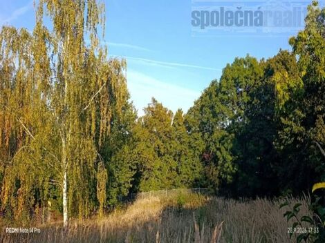 foto02_11571036_ieskk.jpg