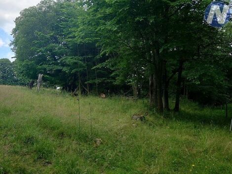 foto02_11394598_lvxl4.jpg