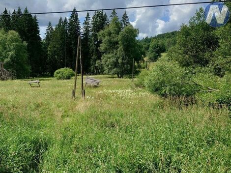 foto02_11394599_uuwo4.jpg