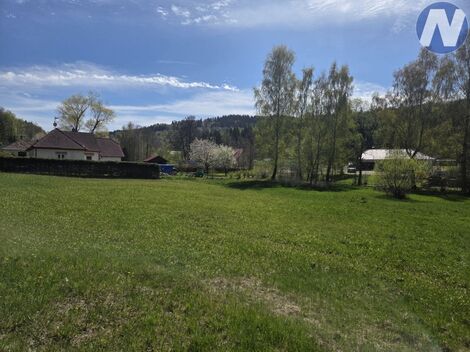 foto02_11417863_11jnq0.jpg