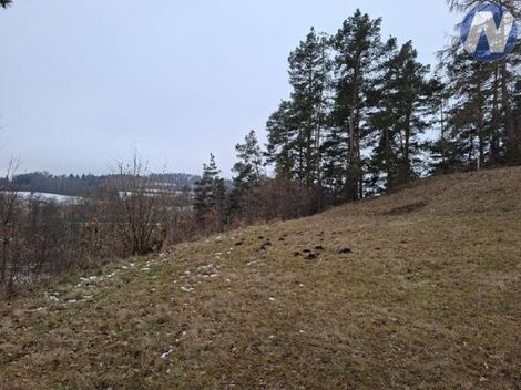 foto02_11445158_1j7x4g.jpg