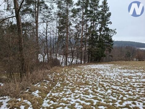 foto02_11445158_ywzjk.jpg